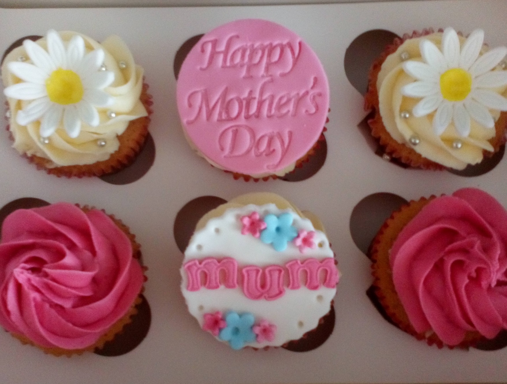 Mothers day cupcakes with daisies