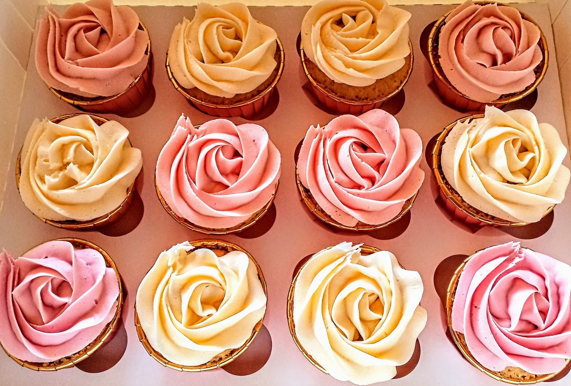 Plain rose swirl design cupcakes