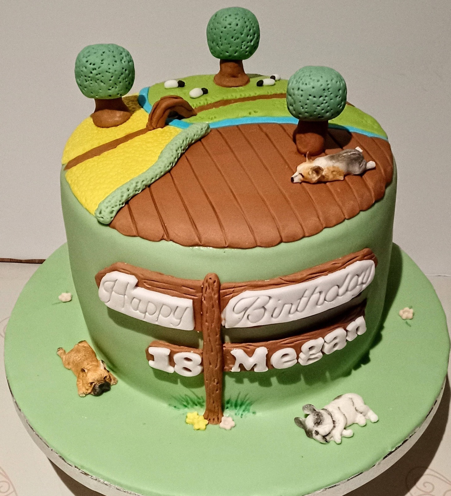 "Countryside" inspired 18th birthday cake