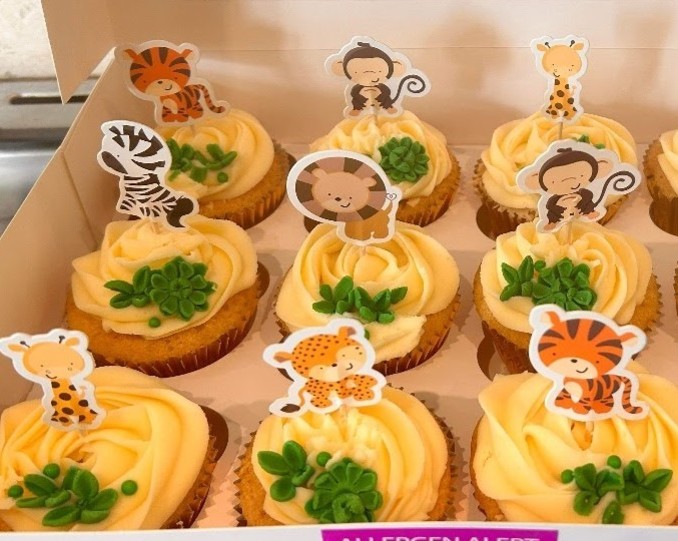 Jungle themed cupcakes