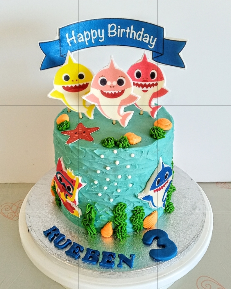 Boys Baby shark inspired 3rd birthday
