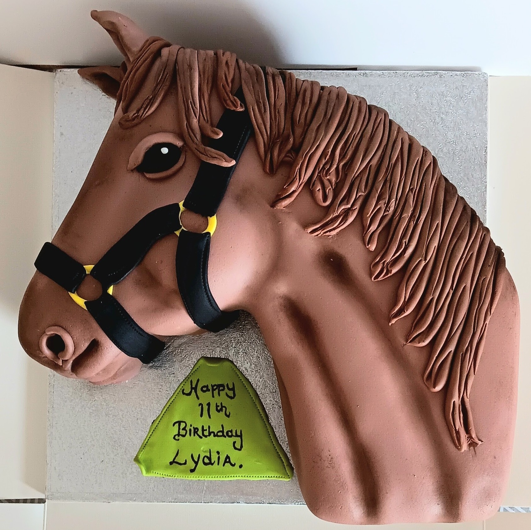 Novelty Horses head birthday cake